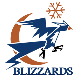 Illustration for article titled All NBA Logos Redesigned With Pokemon